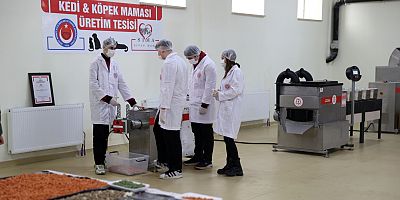 Lise Öğrencileri, Patili Dostlar İçin Yemek Artıklarından Mama Üretiyor