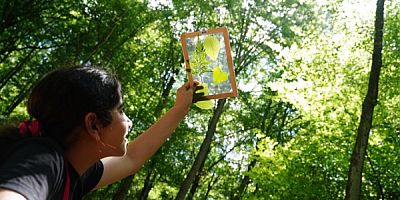 TÜBİTAK 4004 Doğa Eğitimi ve Bilim Okulları Destekleme Programı’nın 2025 Yılı Çağrısı Yayınlandı!